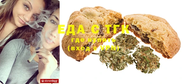 spice Ельня