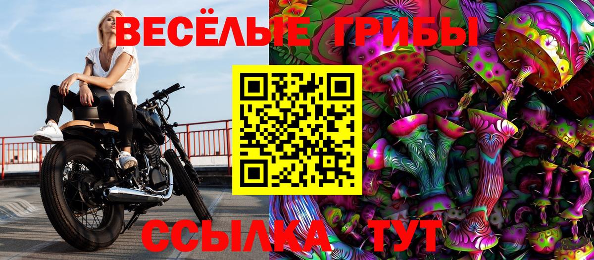 Галлюциногенные грибы MAGIC MUSHROOMS  Псилоцибиновые грибы Magic Shrooms  магазин продажи   Вход с VPN  Слободской 